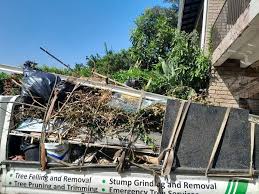 Best Basement Cleanout  in Circle D Kc Estates, TX